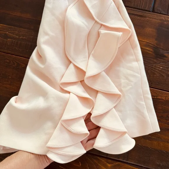 Cinq a sept Pia dress in blush size 2. GUC - Picture 6 of 9